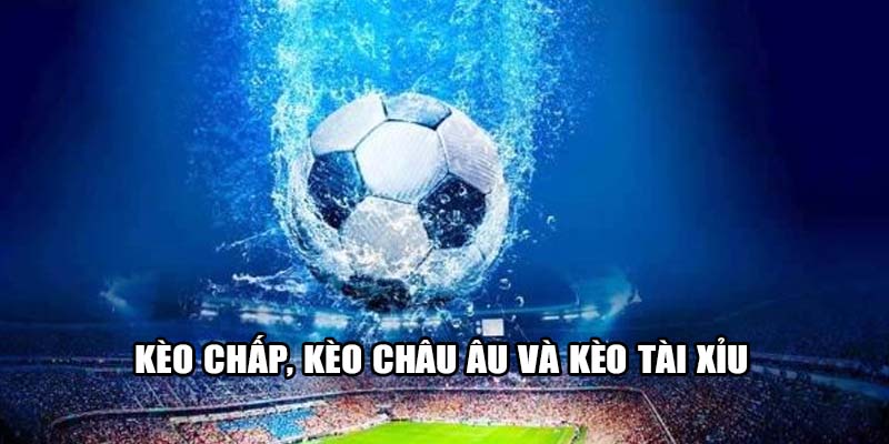 Gồm những kèo chấp, kèo Châu Âu và kèo tài xỉu
